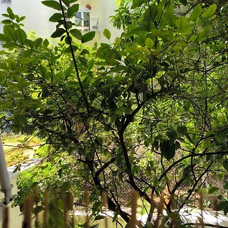 Athens Nice N Easy Apartment Ngoại thất bức ảnh