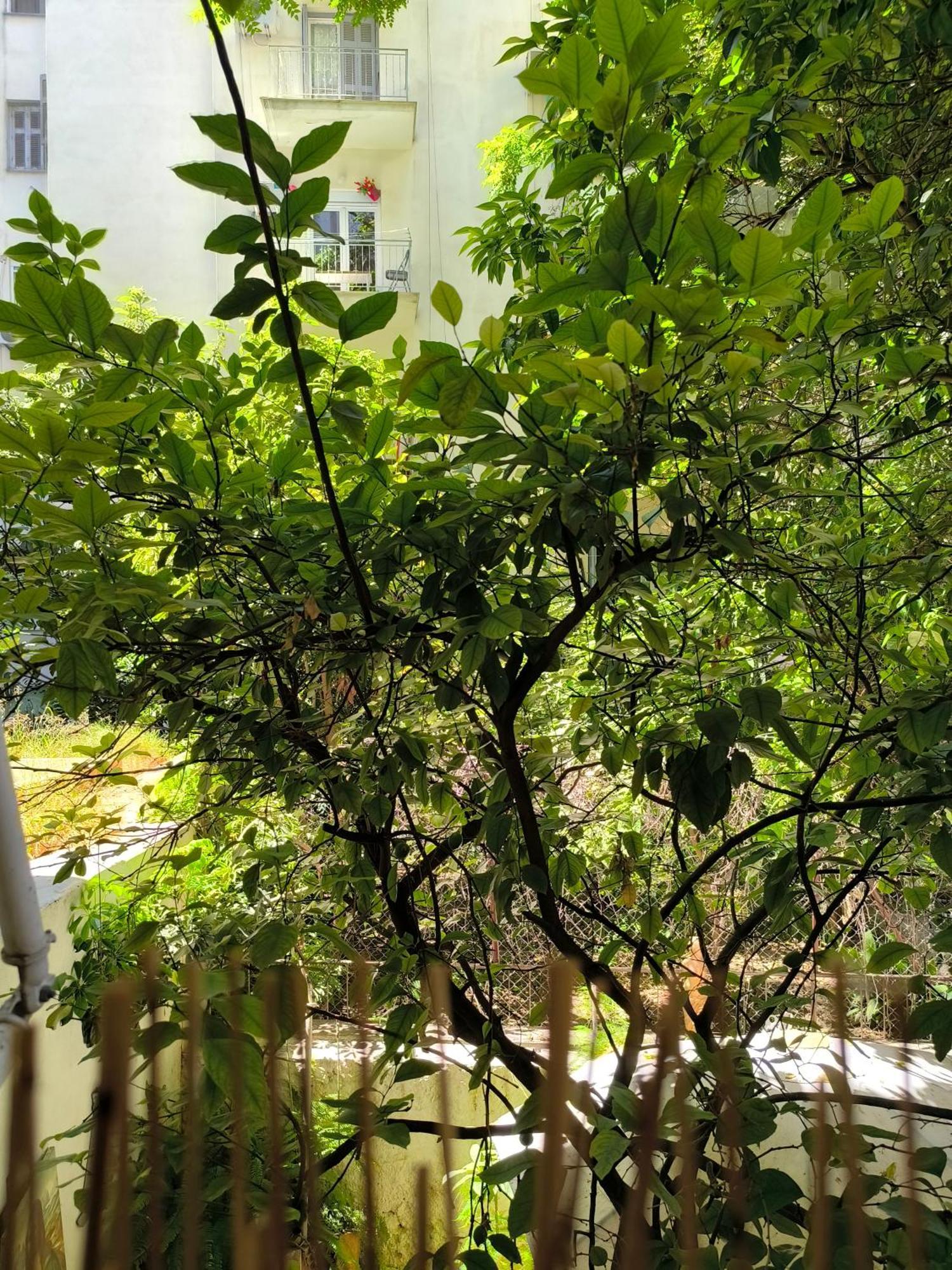Athens Nice N Easy Apartment Ngoại thất bức ảnh
