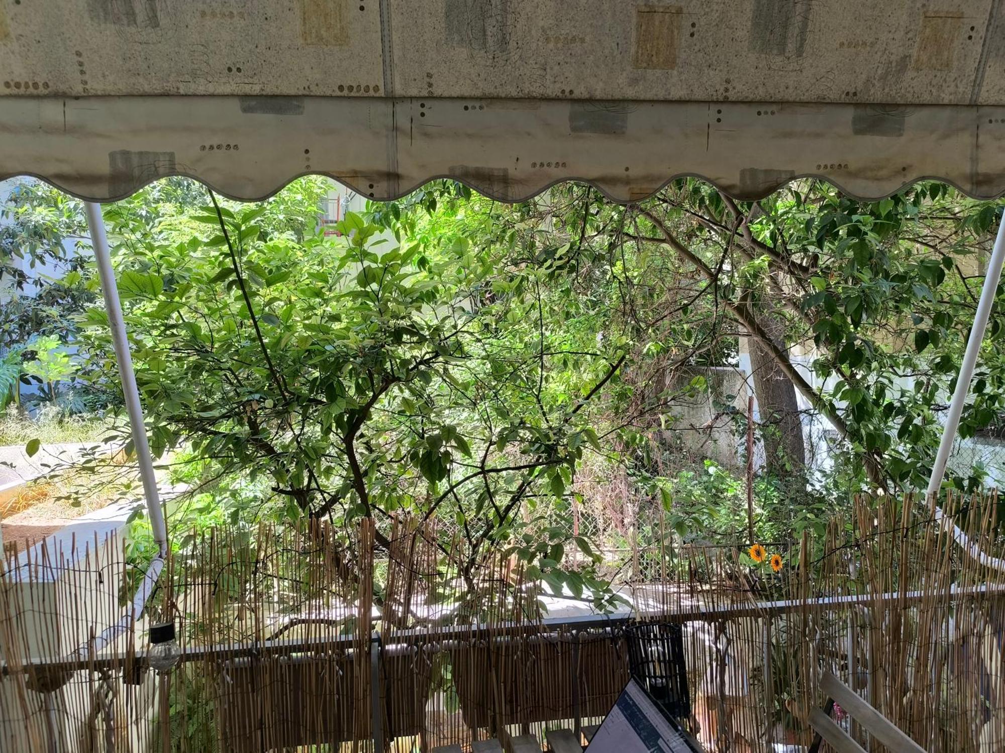 Athens Nice N Easy Apartment Ngoại thất bức ảnh